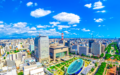  地域の豊富な実績